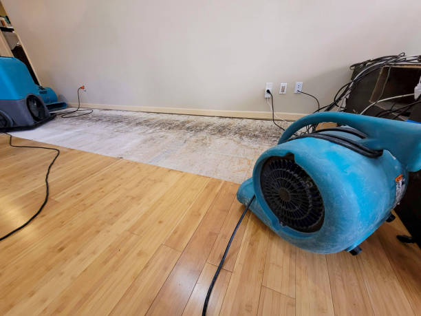 Professional Water Extraction technician working in Ashland, NH